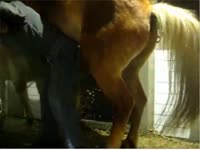 Horse fucking another horse and a kinky beastie gal